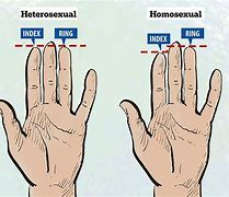 Image result for Man vs Woman Hands