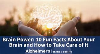 Image result for Cool Brain Facts