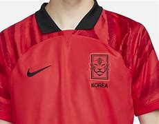 Image result for South Korea Kit