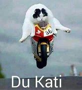 Image result for Cat Motorcycle Meme