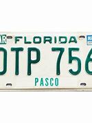 Image result for 1980 Florida License Plate