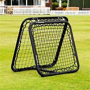 Image result for Compusory Equipment in Cricket