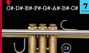 Image result for C Sharp On Trumpet