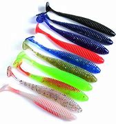 Image result for Rubber Fishing Lures