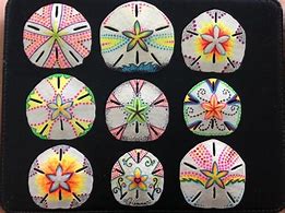 Image result for Sand Dollar Art Projects