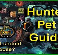 Image result for top pet world of warcraft hunters