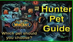 Image result for Classic WoW Pet Chart
