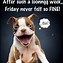 Image result for Happy Friday Cheers Meme