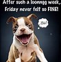 Image result for Happy Friday Cheers Meme