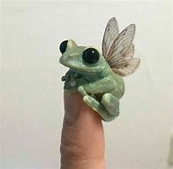 Image result for Pet Frog Aesthetic