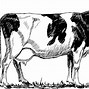 Image result for Holstein Cow Cartoon