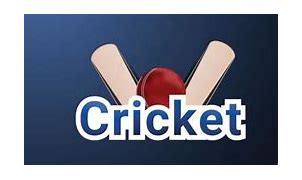 Image result for Cricket Text Logo Banner
