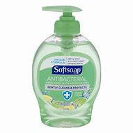 Image result for Savers Hand Soap
