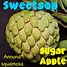 Image result for Sugar Apple Annona Squamosa Tree