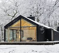 Image result for Modern Cabin Architecture