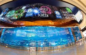 Image result for World's Largest Screen