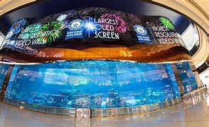 Image result for Bigest Screen in the World