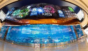Image result for Largest Screen