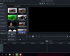 Image result for Green screen Editor