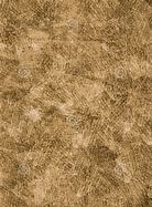 Image result for Gritty Canvas Texture