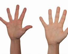 Image result for Five Fingers Collect Together