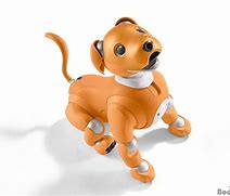 Image result for Aibo Mouse