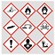 Image result for OSHA Pictograms