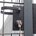 Image result for Lock with Code Name