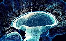 Image result for Consciousness Universe Brain