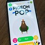 Image result for Pigeon Pop Game