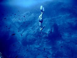 Image result for Deep Sea Swimming