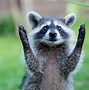 Image result for Funny Animal Background for Android