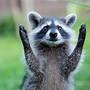 Image result for Free Funny Animal