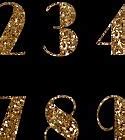 Image result for Glitter Number 6