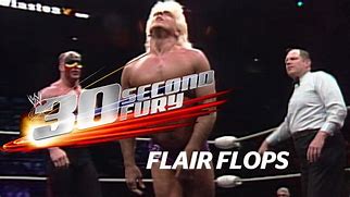 Image result for Ric Flair Low Blow