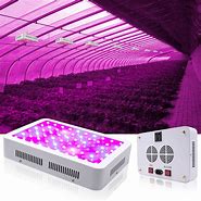 Image result for LED Grow Lights for Indoor Plants Full Spectrum