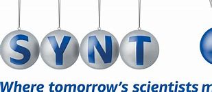 Image result for synt stock