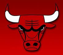Image result for NBA Bulls Logo