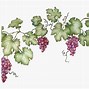 Image result for Grape Vine On Fence