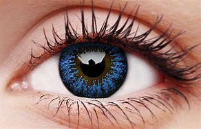 Image result for Blue Contact Lenses