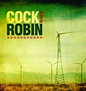 Image result for cock_robin