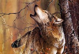 Image result for Wolf Images Art