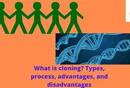 Image result for Types of Cloning