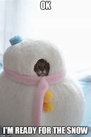 Image result for Winter Cat Meme