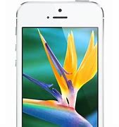 Image result for Refurbished iPhone 5 32GB