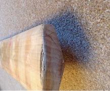 Image result for Cricket Bat Parts