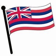 Image result for Hawaiian Flag Drawing