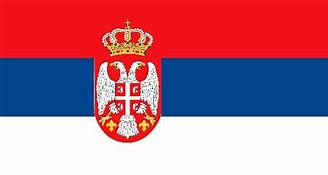 Image result for Serbian Symbols