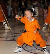 Image result for deadly martial art movie