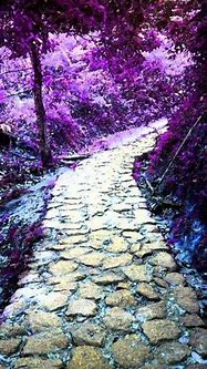 Image result for Beautiful Purple Forest Path